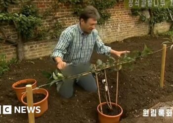 North Korea TV censors Alan Titchmarsh’s trousers