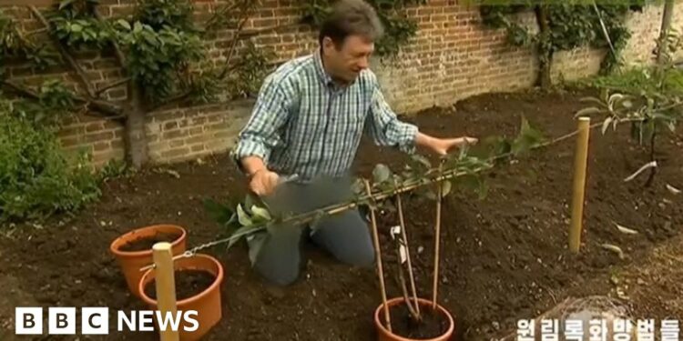 North Korea TV censors Alan Titchmarsh’s trousers
