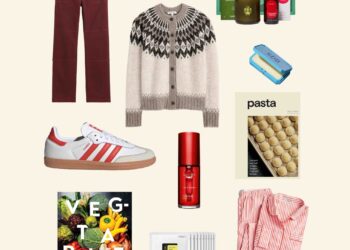 11 Delightful Items on My Personal 2023 Holiday Wish List | Wit & Delight