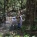 Beekeeping Offers Opportunity to Zimbabwean Farming Communities — In aller Herren Länder Issues