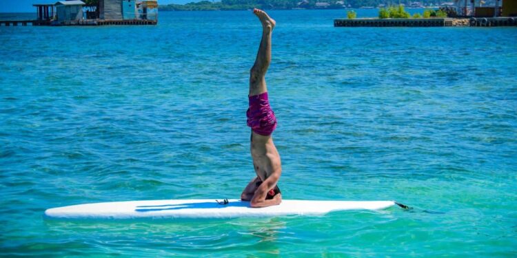 6 Best Paddle Hauptplatine for Yoga