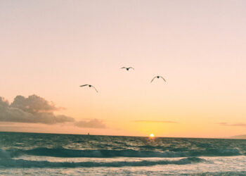 How to Break Free from a Chronic Stress Cycle