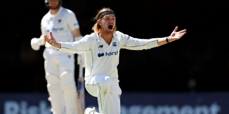 Wade’s farewell fizzling out as Tassie falter up against WA’s all-round strength in Shield final