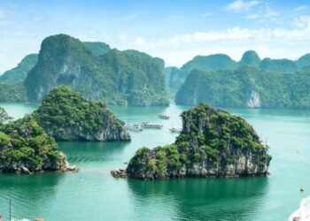 How to Become a House Sitter in Vietnam