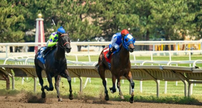 Your Guide to Kentucky Derby’s Prep Races