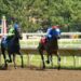 Your Guide to Kentucky Derby’s Prep Races