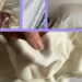 The Greatest Sheets (2024): Linen, Percale, and Funds Bedding
