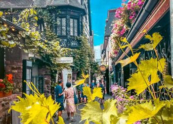 19 Amazing Things to Do in Rudesheim | What to do in Rudesheim Germany