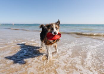 Have a Fun Weekend. | Cup of Jo