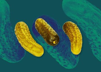 The Health Benefits of Pickles