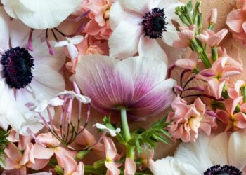 Have a Lovely Weekend. | Cup of Jo