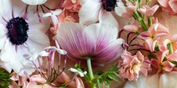 Have a Lovely Weekend. | Cup of Jo