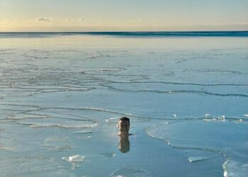 The benefits of saunas and ice baths: A zero-hype guide for boosting heart health, mood, and longevity