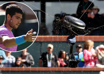 Quarter final between Carlos Alcaraz and Alexander Zverev suspended, bees swarm, video