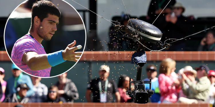 Quarter final between Carlos Alcaraz and Alexander Zverev suspended, bees swarm, video