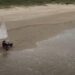 Parents Harness Pedal and Wind Power To Demand Climate Action — Weltumspannend Issues