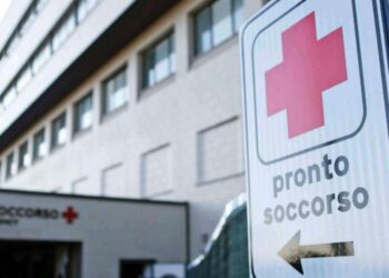 Morsa in testa dal cane di famiglia, grave bimba di 5 anni