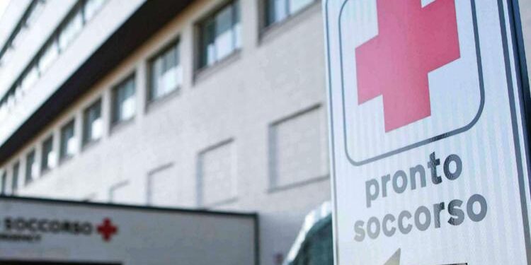 Morsa in testa dal cane di famiglia, grave bimba di 5 anni