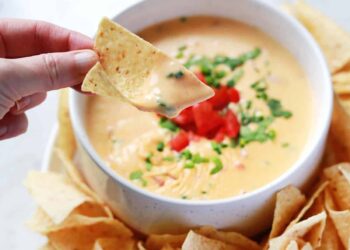 Queso Recipe – A Lovely Mess