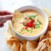 Queso Recipe – A Lovely Mess