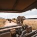 How Much Does a Uganda Safari Cost?