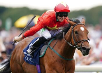 Highfield Princess passes away after sustaining inoperable fracture | Racing News