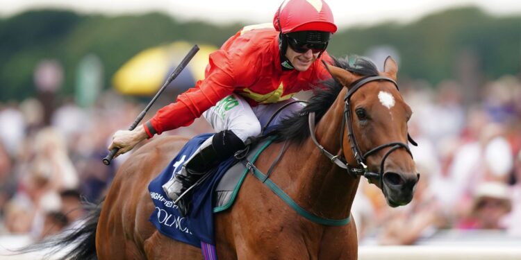 Highfield Princess passes away after sustaining inoperable fracture | Racing News