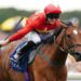 Highfield Princess passes away after sustaining inoperable fracture | Racing News