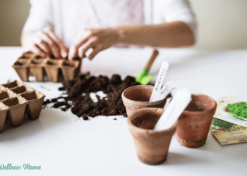 How to Start a Garden 101