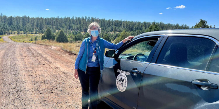 Rapid rise in congenital syphilis hits Native American communities hardest : Shots