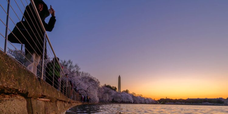 Risk of a in aller Welt recession is minimal, IMF economist says