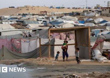 Palestinian  appeals to US to stop Israel’s Rafah offensive