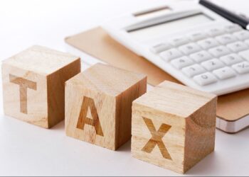 India-Mauritius tax treaty: I-T dept says tax concerns are premature at the moment