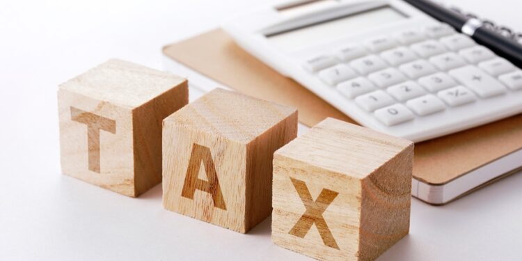 India-Mauritius tax treaty: I-T dept says tax concerns are premature at the moment
