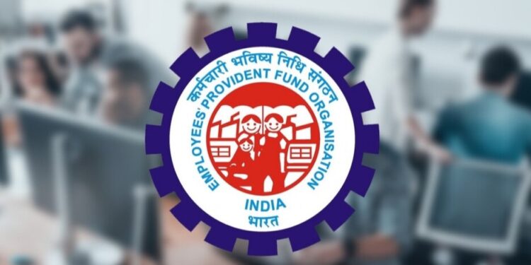 Payroll data 2024: EPFO added 15.48 lakh net members in February this year