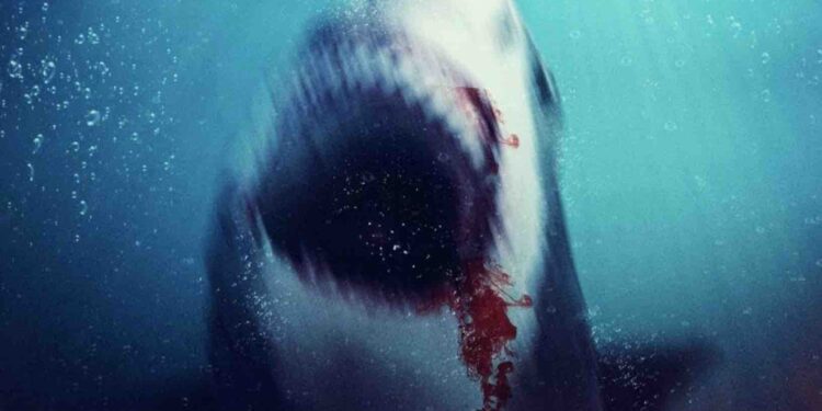 Bull Shark 2 2024 action horror film preview Movies and Mania