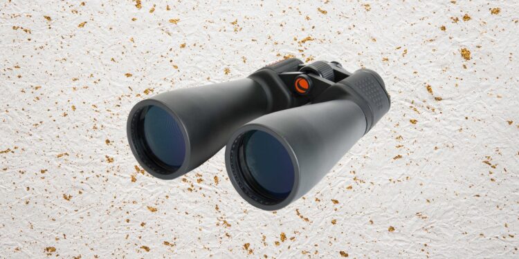 Best Binoculars (2024): Nikon, Celestron, Swarovski, Zeiss