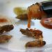 Can You Eat Cicadas? | TIME