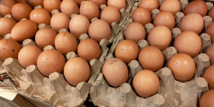 Is It Safe to Eat Eggs and Chicken During the Bird Flu Outbreak?