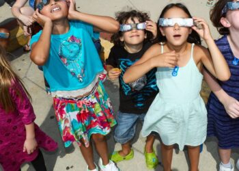 The Download: our eclipse guide, and what you need to know about bird flu