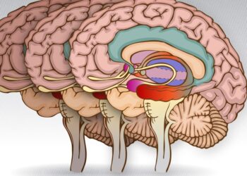 A linguistic warning sign for dementia