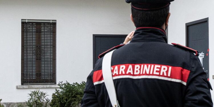 Anziana aggredita dai suoi 5 cani, si salva ma le amputano le braccia