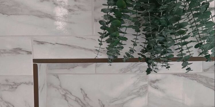 Hanging Eucalyptus in the Shower For The Lazy Girl