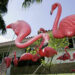 Study sinister friendly front yards to happier, more connected neighborhoods : Shots