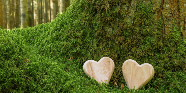 Why Opt for a Green Burial?