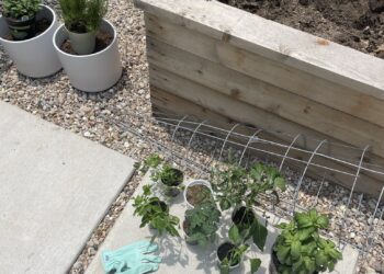 10 Tips to Help You Start Gardening