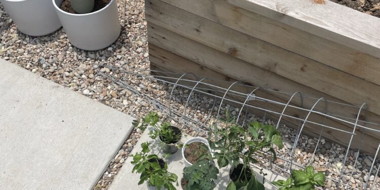 10 Tips to Help You Start Gardening