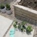 10 Tips to Help You Start Gardening