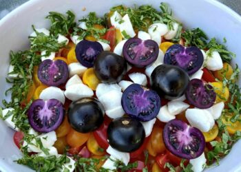 How did a GMO purple tomato get mixed up for an organic variety? : Shots