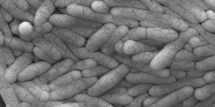 Frozen Chicken Will Soon Get a Lot Safer to Eat